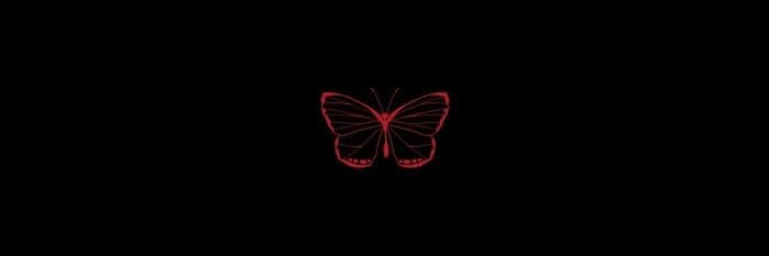 aurora's banner