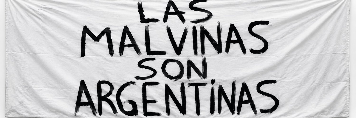 #ʟaᴠerdadɴoOfende 🇦🇷 NO VOTO NI 🐧NI 🦁's banner