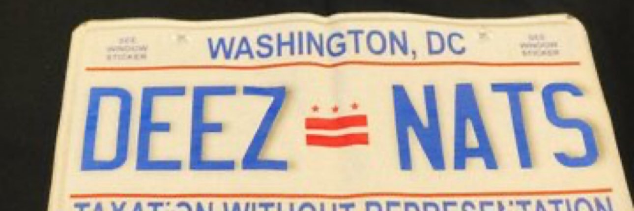 Navy Yard Nats's banner