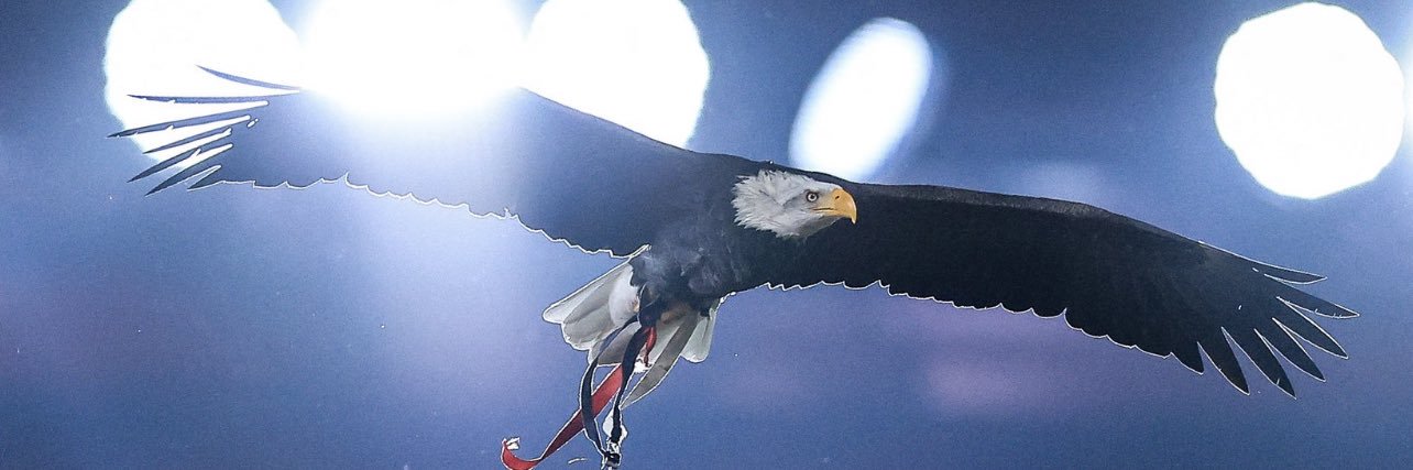 Toni Gutiérrez 🦅🇪🇸's banner
