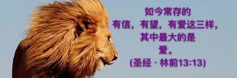 Michael Lu's banner