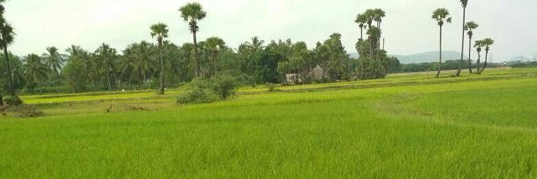 Krishnampalem Village's banner