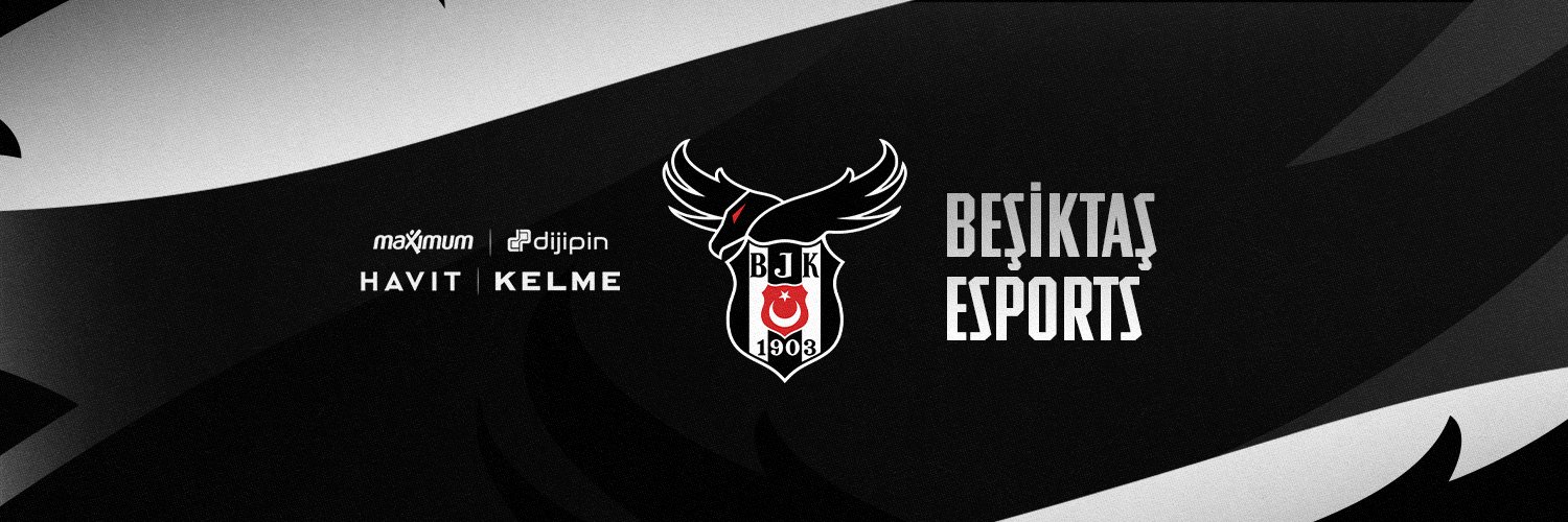 Beşiktaş Esports's banner
