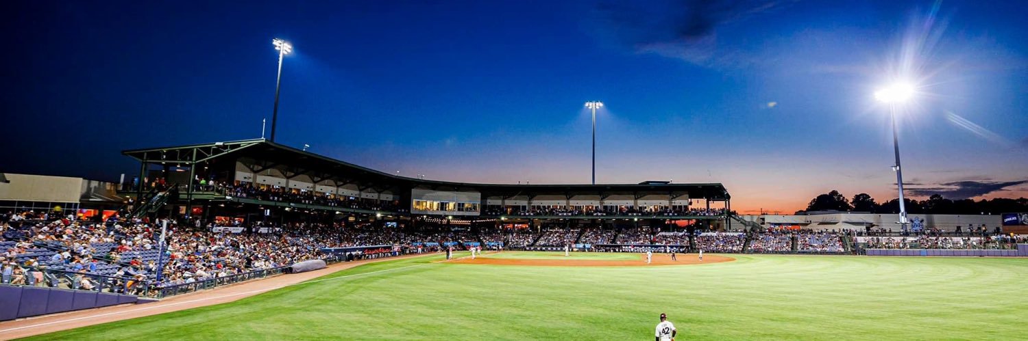 Mississippi Braves's banner