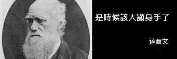 蘇怡寧's banner