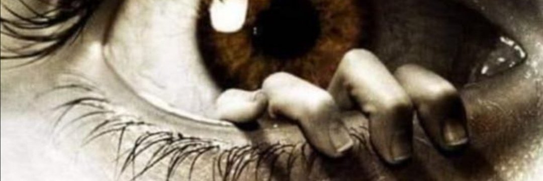 Il_Barbuto's banner