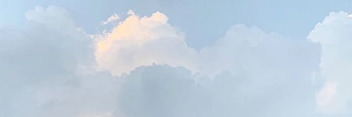 nicole ✨'s banner