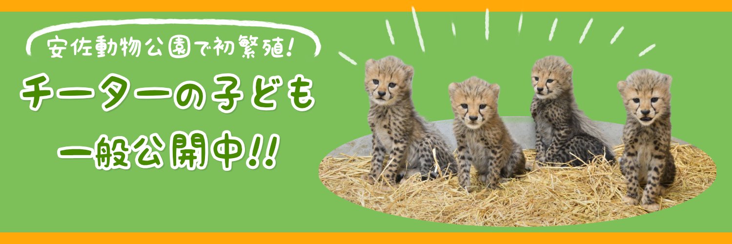 広島市安佐動物公園【公式】's banner