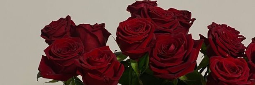 tini☽'s banner