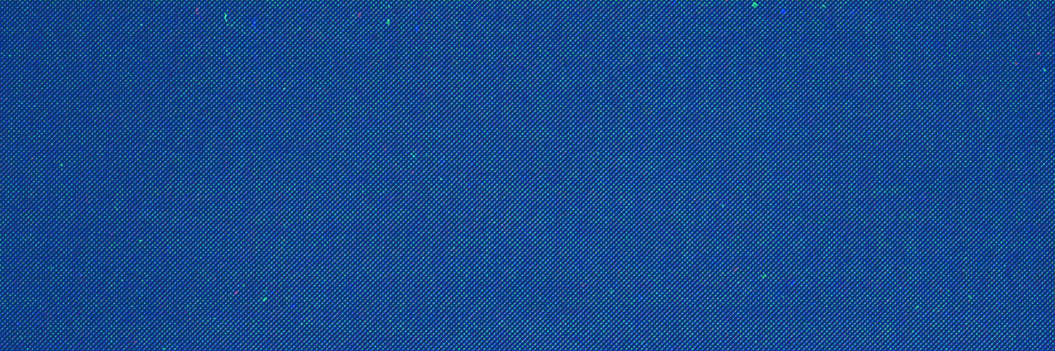 Madroz's banner
