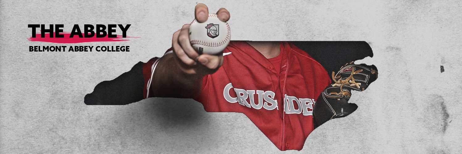 Abbey Baseball's banner