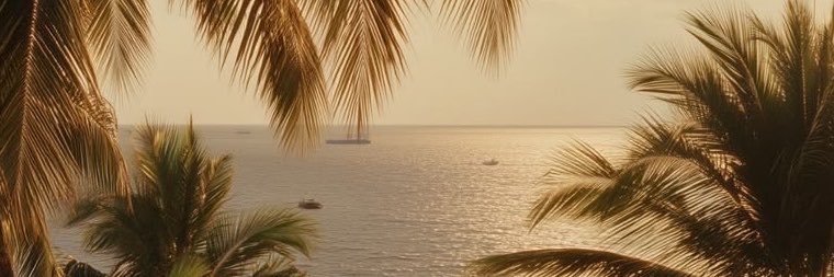َ's banner