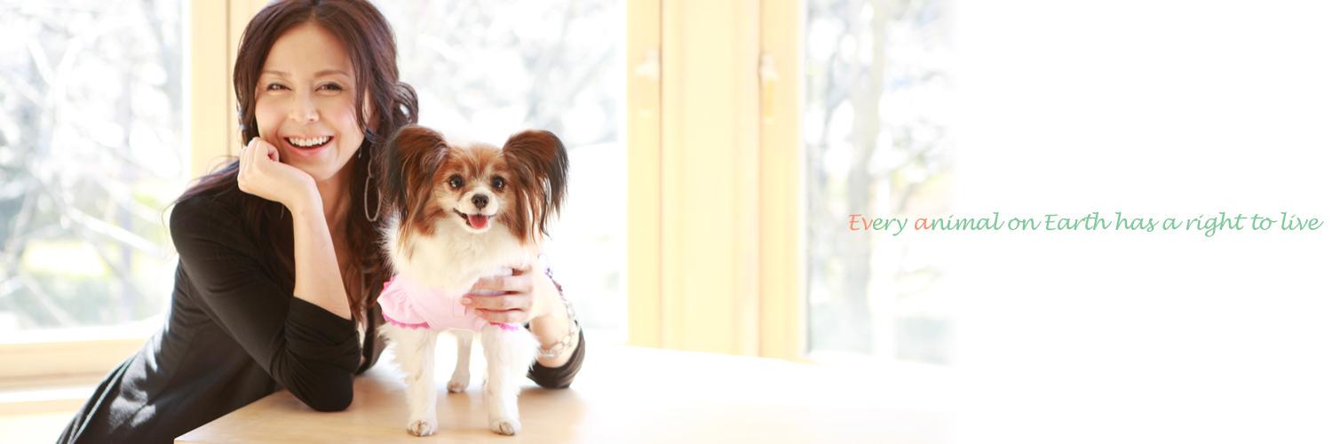 Eva's banner