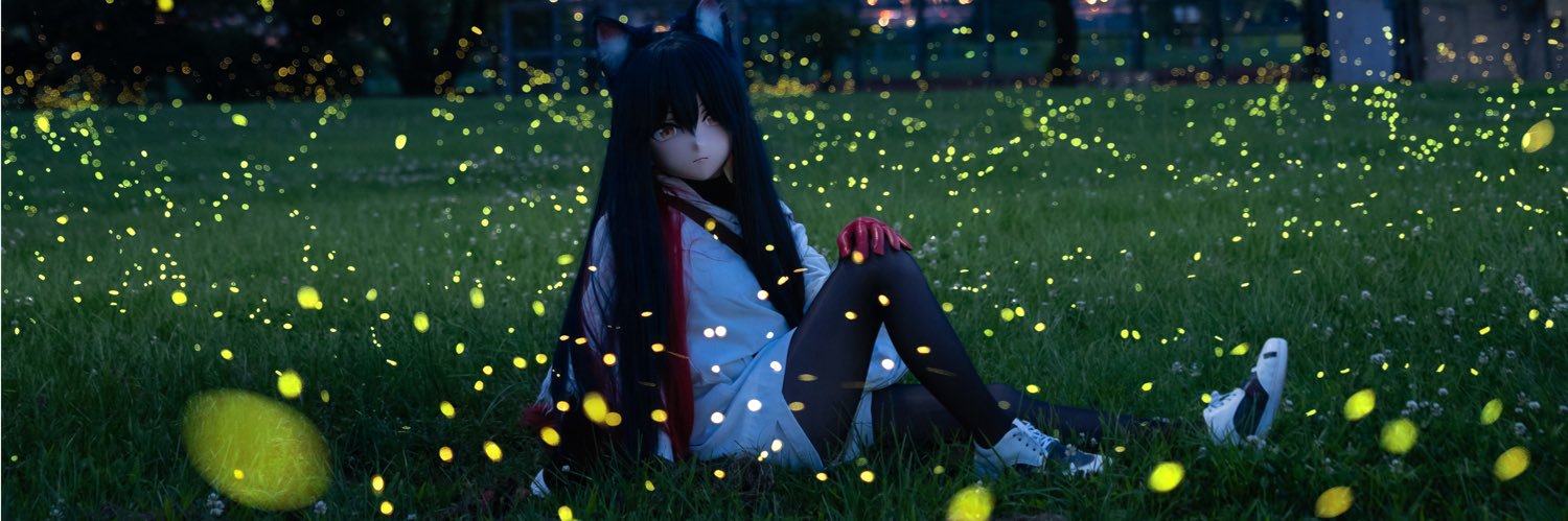 耿耿耿耿's banner