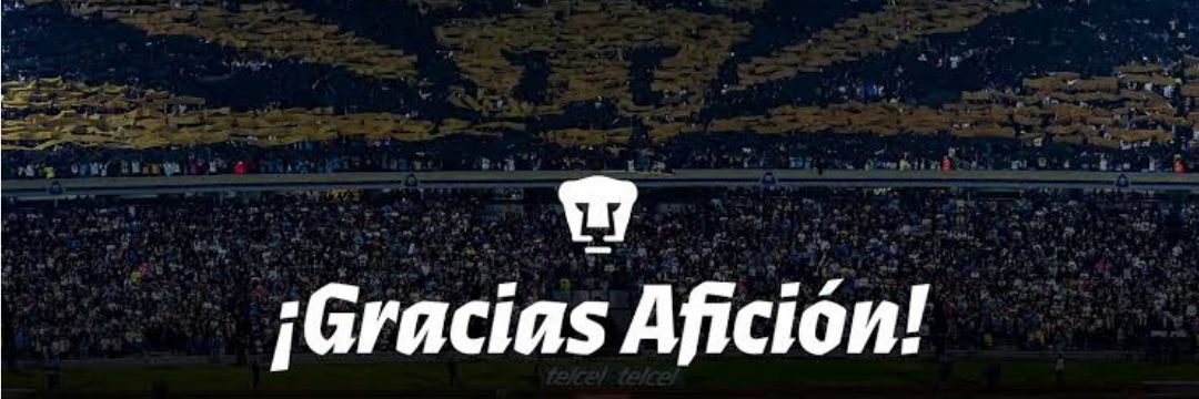 Buffón Roronoa.'s banner