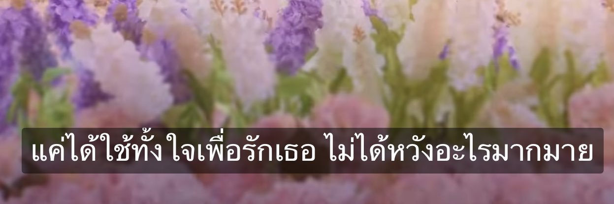 นุข้าวสวย🌾🌝's banner