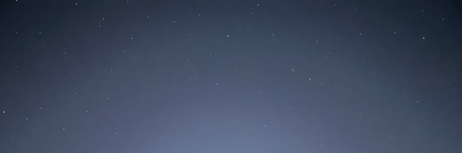 𝐒𝐢𝐝𝐧𝐞𝐲's banner