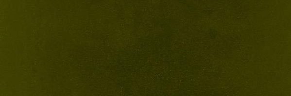 Jaywop's banner