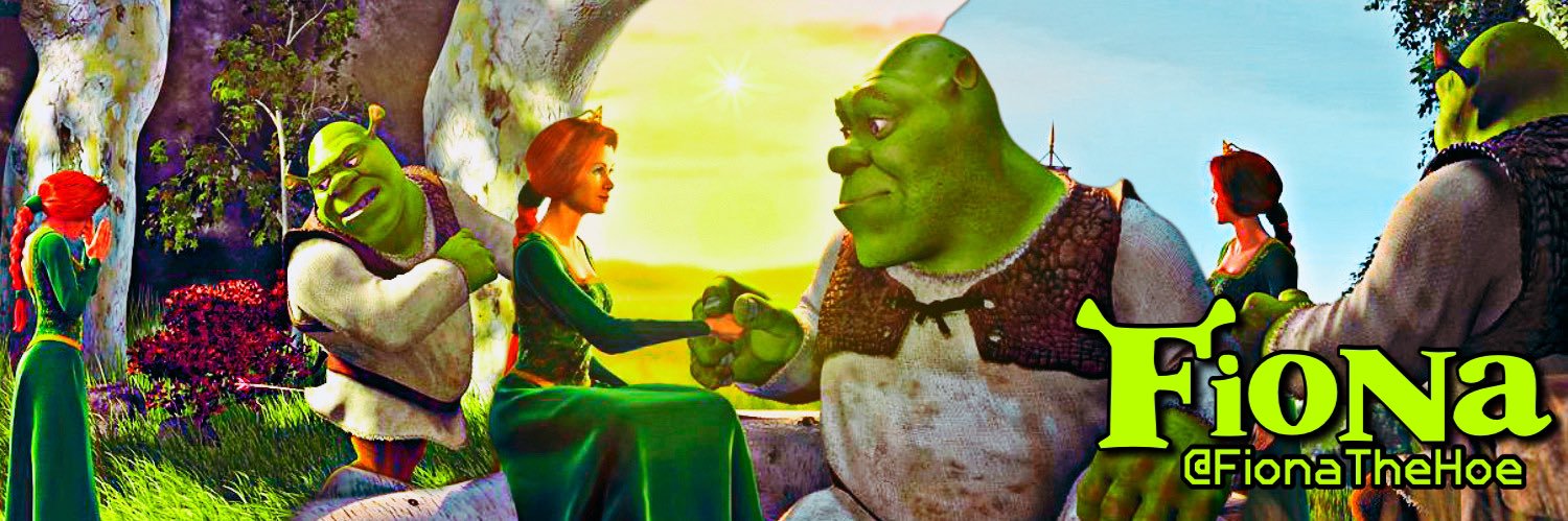 Princess Fiona's banner