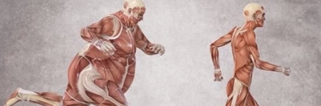 Dr.Fatih ALAGÖZ's banner