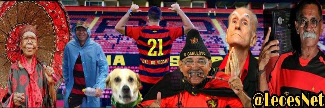Leões Net's banner