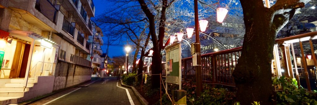 最後一哩鹿( ⓛ ω ⓛ🌈)🌸 's banner