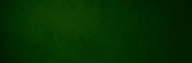 Mohammed A. Salih's banner