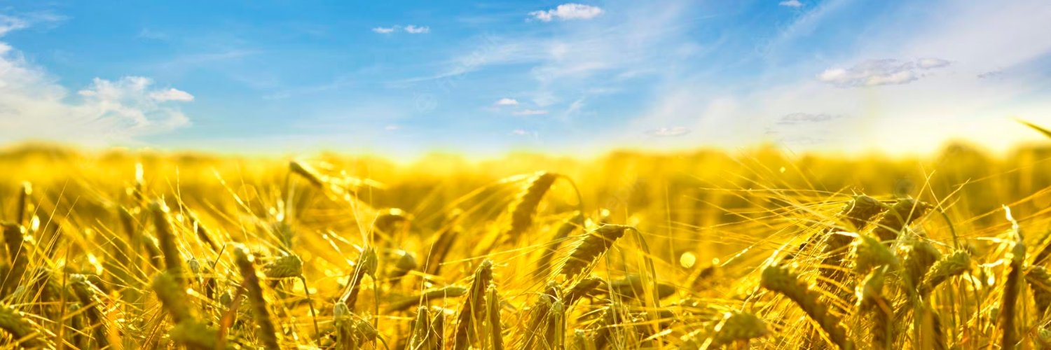ausländer 💎's banner