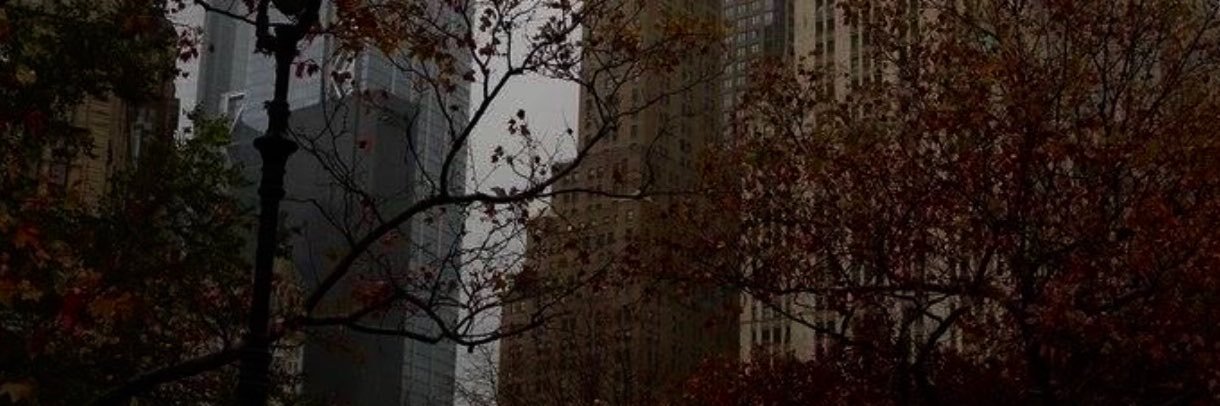 cece ◡̈ෆ • doja ☆ #1 hiyyih lover's banner