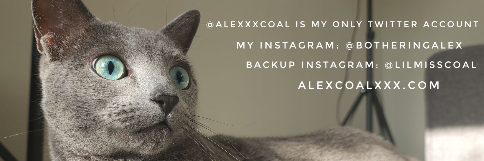 🦑 Alex Coal ♀️'s banner