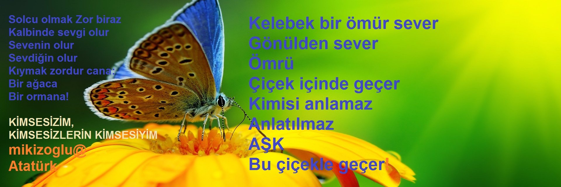 mustafa ikizoğlu's banner