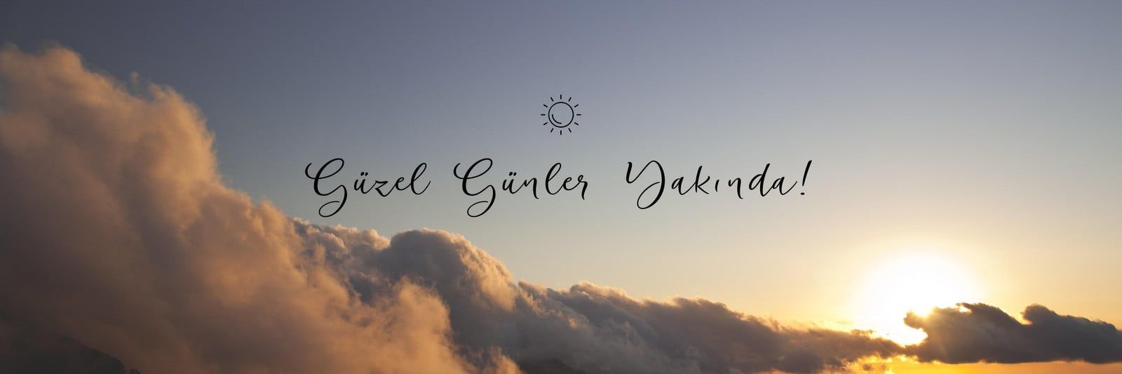 Feyza's banner