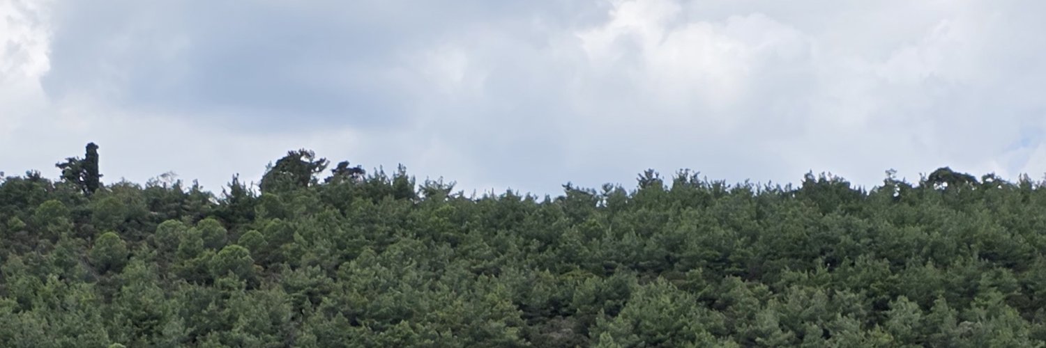 menesozel's banner