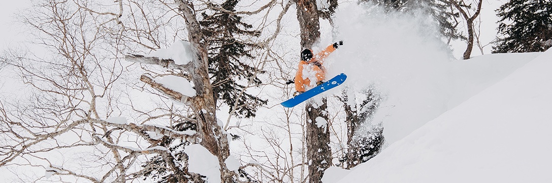 Burton Japan's banner