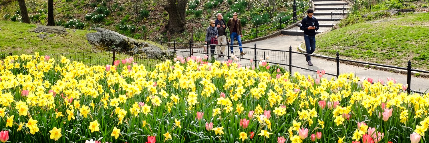 NYC Parks's banner