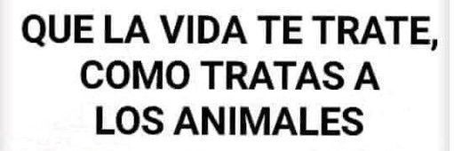 Abogado Animalista's banner