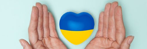 🇩🇪💙💛 Regina Laska's banner