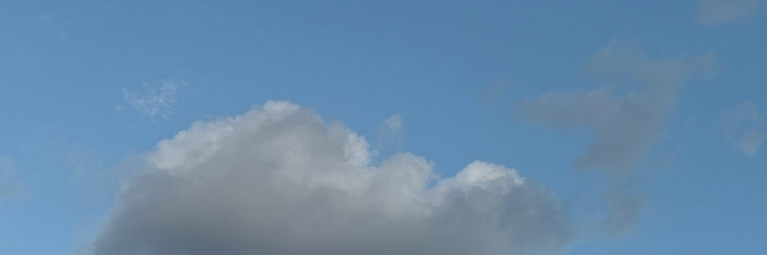 ♡ 𝖕 𝖆 𝖚 ♡'s banner