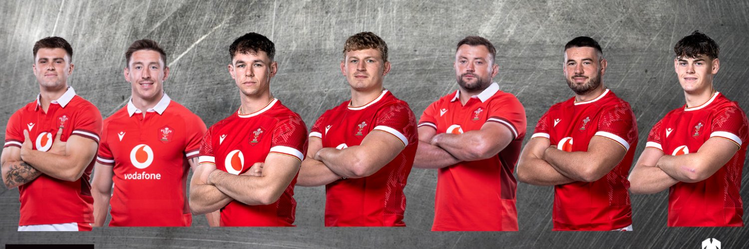 Coleg Sir Gâr Rugby's banner