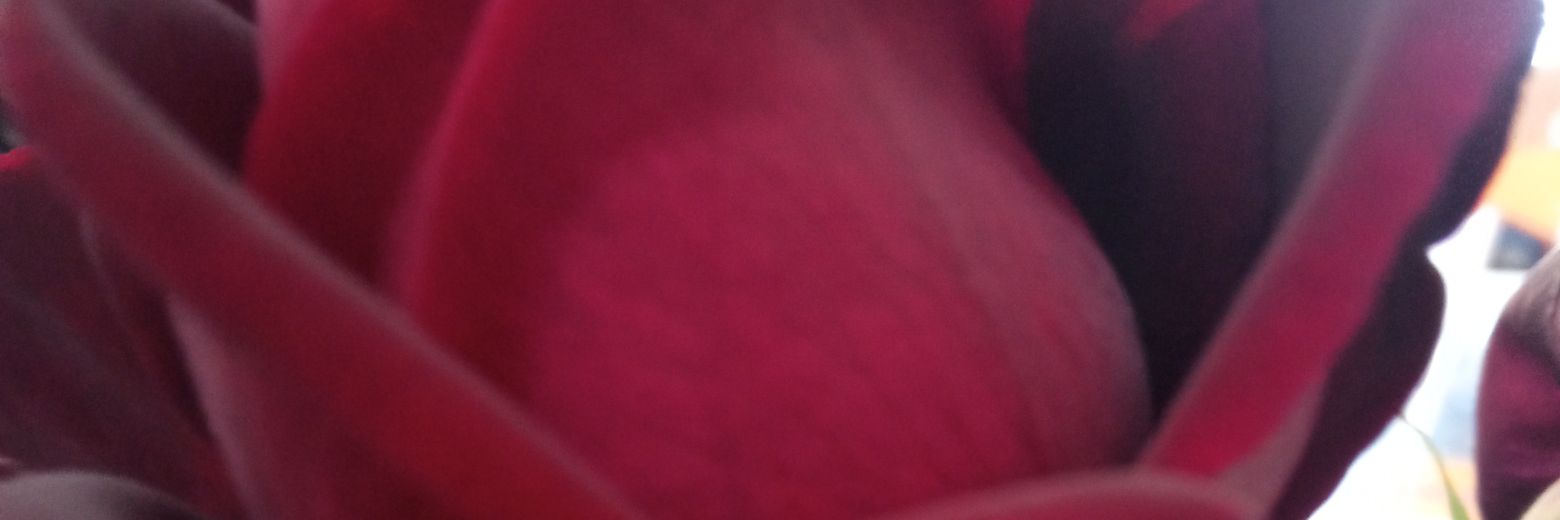 ΜαρκέΖα's banner