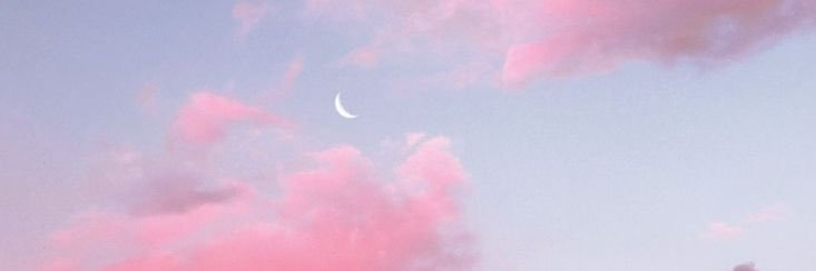 kay 🌸's banner