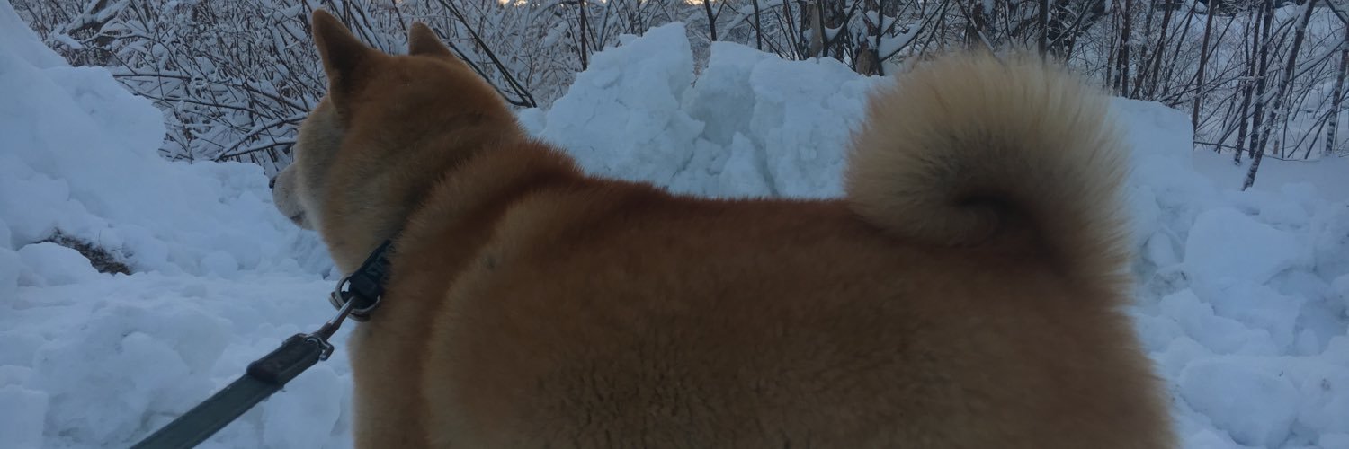 松田 慎介's banner