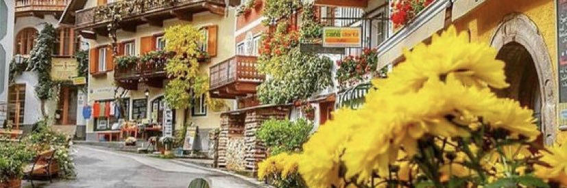 Jawahir ☀️💎🧭's banner