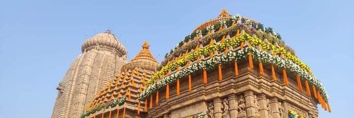 Aravinda Baliga's banner
