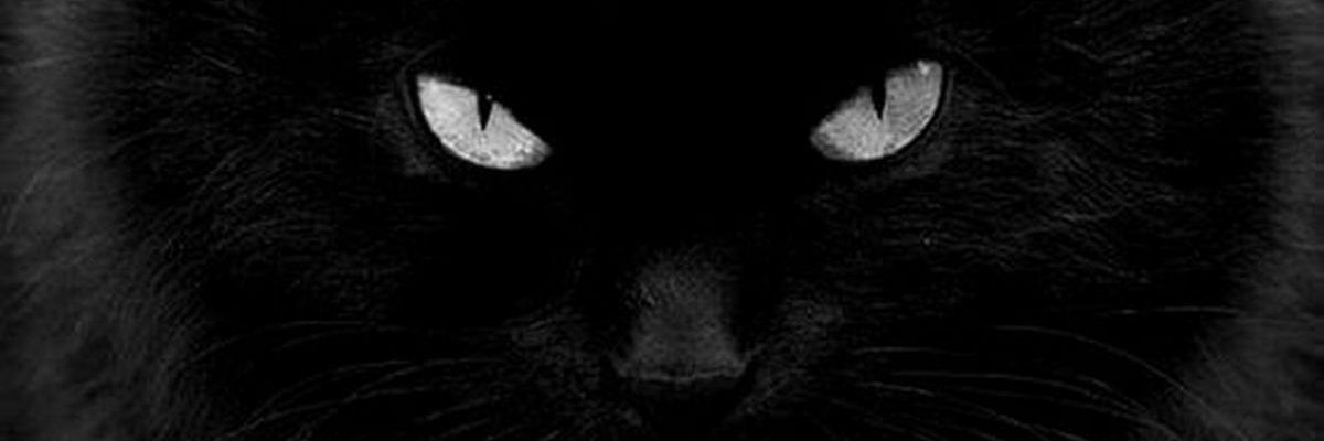 Яков Коровин's banner