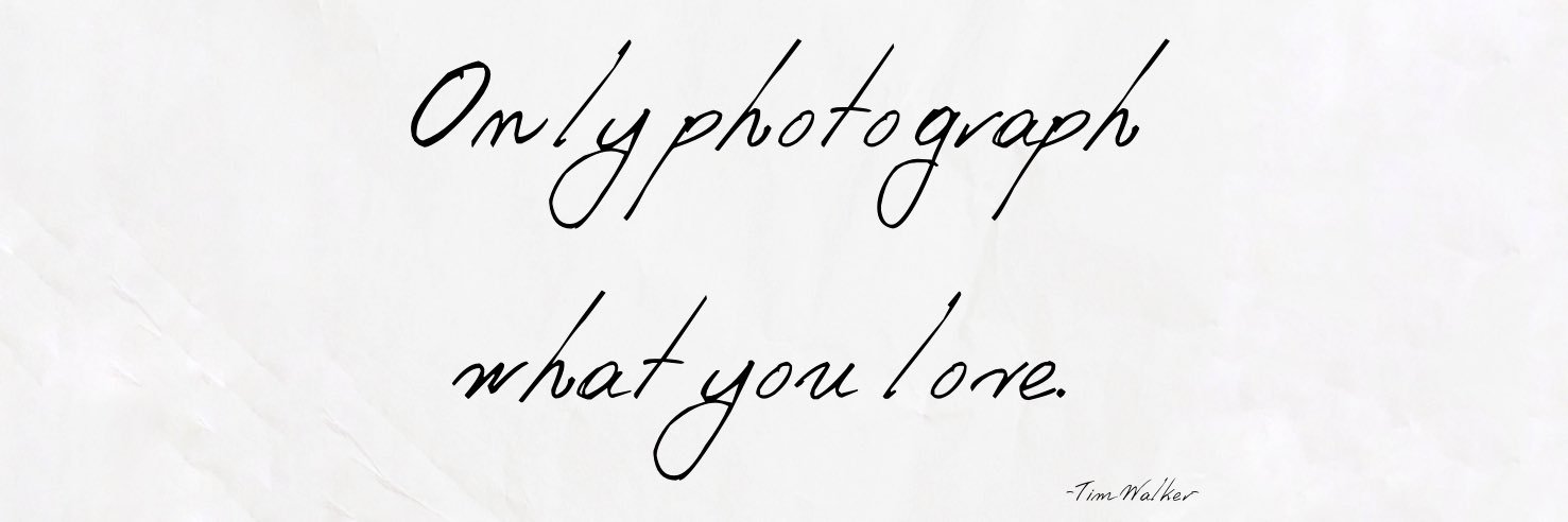 _𝕡𝕟𝕥𝕥_'s banner