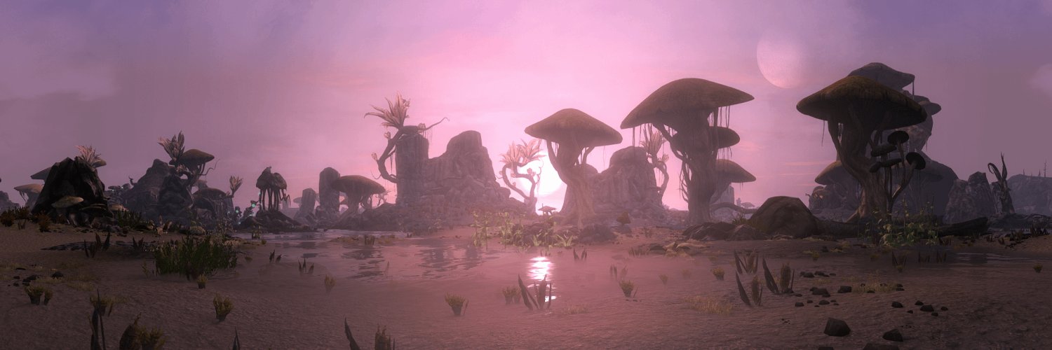 Skywind's banner