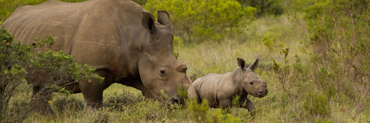 Kariega Game Reserve's banner