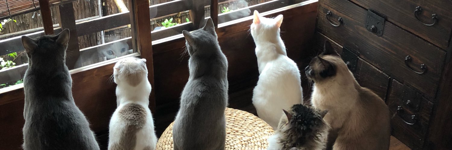 キャットアパートメントコーヒー's banner