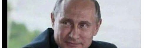 Bernadette 🏴󠁧󠁢󠁳󠁣󠁴󠁿🇮🇪🇷🇺🇵🇸's banner